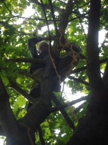 Dieter schreckte auch vor dem höchsten Baum nicht zurück!